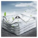 AMDHZ Cortinas de Terraza Pérgola Lona de Plástico Transparente PVC Impermeable con Ojales 0,35mm Tamaño Personalizable,for Exterior,Jardín,Porche (Color : Transparent, Size : 1x2.2m)