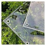 WQDY Cortina Impermeable Al Aire Libre Lona Impermeable Transparente PVC Resistente con Ojales para Pérgola, Terraza, Garaje de Cortina Plástico (Color : Clear, Size : 1x1m(3.3x3.3ft))