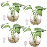 Macetas De Vidrio Para Colgar En La Pared,Jarrones de vidrio de pared de 4 piezas, terrarios de burbujas de pared, jardineras montadas en la pared, soportes para plantas de aire, jarrón para terrarios