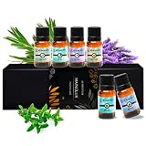 MAINELUX Aceites Esenciales para Humidificador, 100% Natural Puro Aromaterapia Top 6 Set de Regalo de Aceites Aromáticos 6 x 10 ml (Lavanda Hierba de Limón Menta Eucalipto Árbol de té y Naranja dulce)