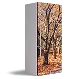 Vinilo Adhesivo Decorativo para Nevera, 70 x 185 cm, Varias Medidas, Impermeable y Resistente, Decoración para Muebles de Cocina, VNL-N031