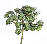 artplants.de Echeveria de plástico Blair con Barra para fijación, Verde, 20cm, Ø10cm - Rosa de alabastro Artificial - Suculenta de imitación