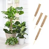 SanLead 4 Piezas 40 CM Tutores para Plantas,Tutor Plantas con 4 Etiquetas de Plantas,Palo de Palma de Coco Adecuado para Plantas de Interior Trepadoras/Plantas Trepadoras/Monsterella