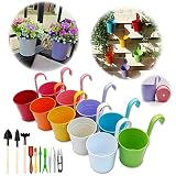 Maceta de Metal Colgante Florero con Soporte Extraíble para Balcón Jardín Patio Cubo Macetero Plantador con Orificio de Drenaje (10 macetas) (17x10x8 cm con Herramientas de jardinería)