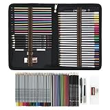 Lápices de Colores para Dibujo Profesional,Set Dibujo Artistico - 48 Colores únicos para Libro de Colorear para Adultos - Regalo Ideal para Artistas, Adultos y Niño