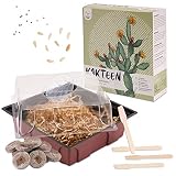 Cactus Starter Kit - Juego de cultivo de mini-invernadero, semillas de cactus y tierra - idea de regalo