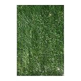 Catral 43080004 Seto Hidenatur, Verde, 300 x 3 x 150 cm
