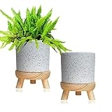 Macetero Decorativo Interior, Moderna Maceta Macetero Redondo de Cerámica con Soporte de Madera para Interior y Exterior (Blanco)