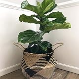 7WUNDERBAR Seagrass Basket Maceta Cesta de Flores de Paja Cesta de lavandería Cesta de Almacenamiento Plegable Grande con asa para la habitación de los niños Baño (D)