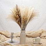 WallyDoor Hierba de Pampas de 17 Pulgadas Pampas secas, Ramo de Hierba de Pampas Naturales Plantas de Hierba de Pampas esponjosas Flores secas Bohemias para decoración de Bodas (65 Piezas)