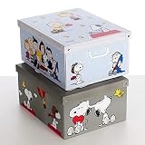 Kanguru 660 1AZ SET DE DOS Cajas de almacenamiento en cartón, tamaño grande, 2 unidades, modelo 1, Multicolor, 50x39xh24 cm