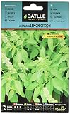 Albahaca Lemon Citron