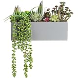 Roylvan Suculentas Artificiales con Maceta, 10 PZS Plantas Decorativas Surtidas Plásticas Verosímiles con Tiesto Madera Rectangular para Alféizar Ventana Escritorio Balcón, Multicolor