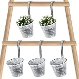 JNCH 5pcs Macetas Colgantes Macetas Metal Decorativas Pequeñas Retro Cubo de Flores con Gancho para Flores y Plantas Pared Balcón Interior Exterior Jardín Patio Decoración Hogar, 14cm Calibre