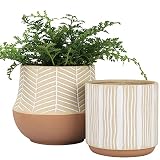 LA Jolie Muse Juego de macetero de cerámica para Interiores, maceteros para Superficies de Mesa con Fondo esmaltado de Arena, Orificio de Drenaje Incluido, Regalo Terracota, 15,5 cm + 11,8 cm