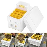 Ulofpc Espuma Abeja Colmena Abeja Caja de Abeja Caja Rey de polinización Caja de cría de Abejas Caja de Apicultura Herramienta