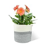 Halcyerdu Cesta de Planta 20 x 20 cm, Cesta de Cuerda de algodón para Plantas, Maceta de algodón, cestas de Almacenamiento Tejidas, para Decoración y Almacenamiento del Hogar Blanco + Gris