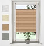 Sonello Estor Cortina Plisada sin taladrar 55cm x 120cm Beige, Cortina Enrollable Plisado Cortina Plisada para Puerta y Ventana persianas protección de la intimidad protección Solar estores palisados