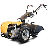 BENZA MOTOCULTOR BZWT700