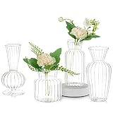 Jarrón De Vidrio para Flores, Juego De 4 Florero De Cuello Estrecho, Florero Moderno De Guisante Dulce para Centro De Mesa, Decoración Interior, Boda