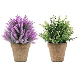 VINFUTUR 2pcs Plantas Artificiales Decorativas con Maceta Plantas Pequeñas Artificiales Falsas Plástico para Decoración Escritorio Mesa Estantería Casa Oficina Cafetería Salón Ventana Regalos