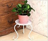 Soporte para plantas pequeñas, soporte de flores de hierro forjado de una sola capa, soporte para macetas de piso de interior, impermeable para mascotas (color: blanco)