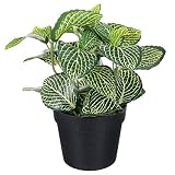Doitool Plantas Artificiales en Maceta Realista Faux Fitonia Verschaffeltii Planta Nervioso Mini Planta Falsa Granja Decoraciones
