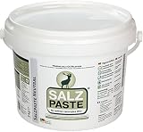 Euro Hunt Neutral Pasta de Sal 2 kg Cubo, 590223