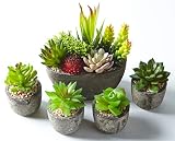Jobary 5pcs Plantas Suculentas Artificiales Falso Plantas Decorativas Suculentas，Ideal para el Hogar, Oficina y Decoración al aire libre Falso Plantas