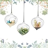 3/paquete colgar Semáforo Jarrón de cristal vidrio borosilicatado Terrario Plantas florero Maceta de cristal Suculenta Contenedor 9,3 * 12 CM/3,7 * 4,7 Inch para colgar