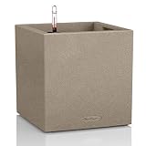 Lechuza Square - Canto, 30 x 30 x 30 cm, Color Beige Arena