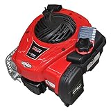 Briggs & Stratton Motor cortacésped 550E Series OHV 22,2 x 80 mm