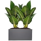 KHOMO GEAR Maceta metálica galvanizada Moderna para Interior y Exterior con Drenaje (30,5 x 40,6 x 78,7 cm, Gris)