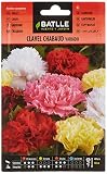Clavel Chabaud VARIADO