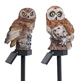 TERESA'S COLLECTIONS Luces Jardin Solares Exterior Búhos Decorativos, Buho Epanta para Palomas Enanitos para Jardin, Ahuyentador de Pajaros Figuras Exterior, 2pcs