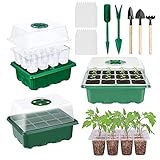 Sunshine smile 3 unidades de invernadero de cultivo con 5 herramientas de jardín pequeñas, cultivador de plantas, mini invernadero con tapa, bandeja de cultivo de plástico