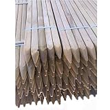 Todo Cultivo Tutor de Madera de Pino tratado de 40x40 mm. 1,5 m. de Altura. Pack de 10 Unidades. Destinado para arboles de Crecimiento vigoroso.