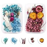 2 Cajas Flores Secas Naturales Hojas Flores Prensadas Naturales Paquete de Flores Mixtas Caja de Flores Secas para Manualidades Resina Para Bricolaje Colgador Velas Scrapbooking Tarjetas Manualidades