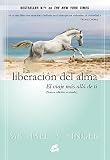 La liberación del alma: El viaje más allá de ti mismo (Advaita)