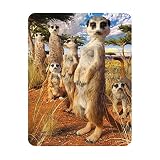 Deluxebase 3D LiveLife Imán - Mirada de Suricata Imán de Nevera lenticular 3D con diseño Safari. Adorno magnético para niños y Adultos con ilustración del reconocido Artista David Penfound