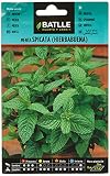 Menta Spicata (Hierbabuena)