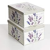 SET DE DOS Cajas de almacenamiento en cartón, tamaño grande, 2 unidades, modelo LAVANDA