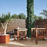 Celosia PVC 18 Mm 1x2 Marron