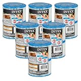 Intex Pure Spa - Juego de 12 cartuchos (6 paquetes de 2 filtros)