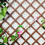 Celosia PVC 48 Mm 1x2 Marron