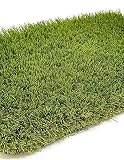 Jardin202 - Césped Artificial Mónaco Deluxe 45mm - Rollos | Seleccione la Medida| Varias Medidas | 2 x 4 Metros: 8 m2
