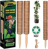 COZYLAND 2 Estacas de Coco Apilables - 43cm Cada Una, Poste de Coco con Palo de Madera Afilado para Extensión de Plantas Trepadoras y Soporte de Planta en el Jardín de Su Casa