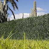 Catral 43020013 Seto Dense, Verde, 300x3x100 cm