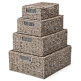 EZOWare Cestas de Almacenaje con Tapa, Set de 4 Cajas Decorativas Contenedores de Mimbre Resina Tejida con Asas para Sala de Estar, Habitaciones, Baño, Oficina, Cocina - Gris Natural