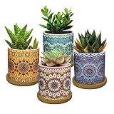 Lewondr Macetas de Cerámica para Flores y Plantas, [4 PZS] 7 cm Conjunto de Contenido Plantador con Orificio Drenaje Bandeja Bambú para Suculenta Cactus Oficina Casa Ventana - Estramonio